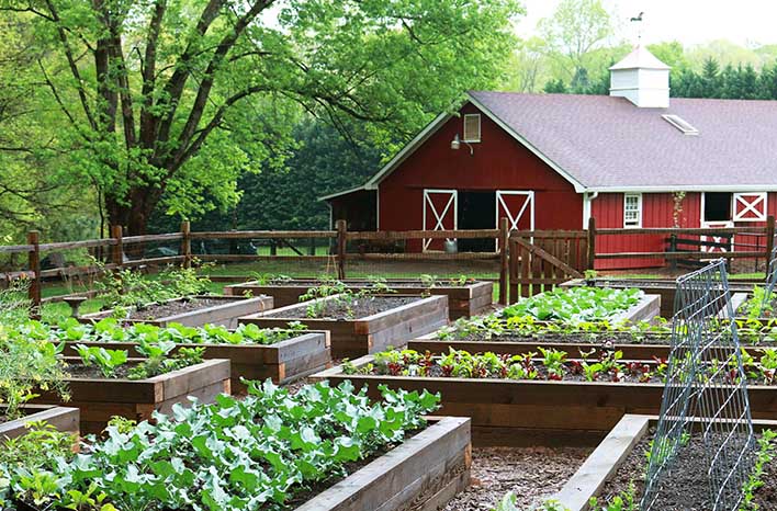 farm+garden